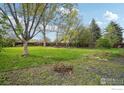 Expansive backyard offers ample green space, mature trees, and a privacy fence at 13755 W 65Th Dr, Arvada, CO 80004