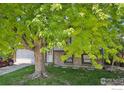 Charming brick home featuring an attached garage and a shade tree in the front yard at 13755 W 65Th Dr, Arvada, CO 80004