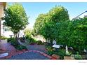 Lush backyard with brick pathways, mature trees, and well-tended garden beds at 800 Gateway Park Ln, Berthoud, CO 80513