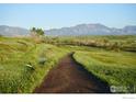 Picturesque backyard with a walking path, lush greenery and breathtaking mountain views at 313 S 3Rd Ave, Superior, CO 80027