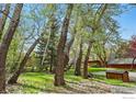 Scenic backyard showcasing mature trees and greenery, creating a serene and private outdoor space at 4731 Jay Rd, Boulder, CO 80301