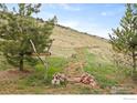 Scenic trail view with natural landscaping, leading up to a grassy hillside at 6319 Sedona Hills Dr, Berthoud, CO 80513