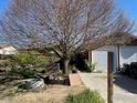 Home exterior featuring an attached two car garage and mature tree in the front yard at 1113 Lantern Dr, Fort Lupton, CO 80621