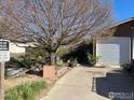 Home exterior featuring an attached two car garage and mature tree in the front yard at 1113 Lantern Dr, Fort Lupton, CO 80621