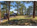 Detached garage and yard with a view of the forested landscape at 65 Bristlecone Way, Boulder, CO 80304
