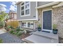 Inviting front entrance with a gray door, brick accents, and a landscaped garden at 709 Buchanan Ln, Longmont, CO 80504