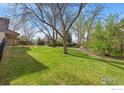 Expansive backyard with lush green grass, mature trees, and a tranquil ambiance at 2548 Horseshoe Cir, Longmont, CO 80504