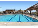 A large rectangular pool is surrounded by lounge chairs and a covered pergola, near the community clubhouse at 2743 Bear Springs Cir, Longmont, CO 80503