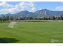 Large grassy recreational field with views of the Rocky Mountains in the background at 3821 Howe Ct, Boulder, CO 80301