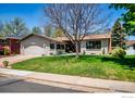 Well-maintained home with a lush lawn and mature tree, showcasing the property's inviting exterior at 505 Lois Dr, Louisville, CO 80027