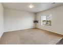 Spacious bedroom featuring neutral carpet, natural light, and a built-in shelf for added convenience at 920 Wagon Bend Rd, Berthoud, CO 80513