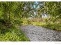 Peaceful creek flowing through a wooded area offers a serene natural setting at 819 Gapter Rd, Boulder, CO 80303
