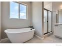 Modern bathroom with a soaking tub, a glass-enclosed shower, and lots of natural light at 2710 Crystal Springs Ln, Longmont, CO 80503