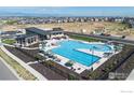 Community pool surrounded by lounge chairs, umbrellas, and lush landscaping at 890 Eva Peak Dr, Erie, CO 80516