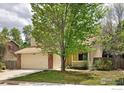 Beautiful front yard featuring a large shade tree with brick and siding exterior at 4860 W 125Th Ave, Broomfield, CO 80020