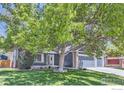 Beautiful home with mature shade tree in the front yard and three car garage at 5491 E 117Th Ave, Thornton, CO 80233