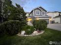 Beautifully landscaped front yard with lush greenery and mature trees enhancing the home's curb appeal at 12742 Clermont St, Thornton, CO 80241
