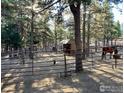 Outdoor horse pen with multiple horses on a sunny day at 133 Mine Ln, Boulder, CO 80302