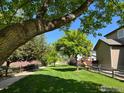 Lush green backyard with a playground, perfect for outdoor activities and relaxation at 1574 Goshawk Dr, Longmont, CO 80504