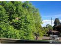 View from balcony of mature trees and street at 50 19Th Ave # 9, Longmont, CO 80501