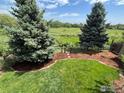 Beautiful backyard with healthy green lawn and mature trees providing tranquil outdoor space at 2335 Dogwood Cir, Louisville, CO 80027