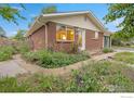 Brick home featuring large windows, a well-maintained lawn, and mature landscaping at 437 Fox St, Longmont, CO 80504