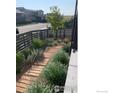 Landscaped front yard featuring modern walkway, gravel, and lush plantings at 6211 Stable View St, Castle Pines, CO 80108