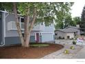 Residential home with lush landscaping and healthy mature trees at 1714 Zeus Dr, Lafayette, CO 80026