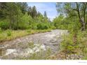 Scenic rushing creek flowing through the property amidst lush greenery and mature trees at 1946 Lefthand Canyon Dr, Boulder, CO 80302