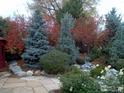 Backyard area featuring an assortment of evergreens, flowering trees, and a stone walkway at 2549 Cowley Dr, Lafayette, CO 80026
