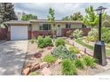Landscaped front yard with a variety of plants, flowers, and rock features at 501 Copeland Way, Longmont, CO 80504