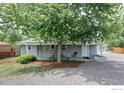 Inviting home with a large front yard, covered porch, and mature tree providing shade at 2565 Pierce St, Lakewood, CO 80214