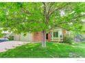 Lush green lawn and mature tree highlight this traditional-style home with brick accents and attached garage at 11535 Briarwood Ln, Parker, CO 80138