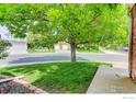 View of a green front lawn with a mature tree and a glimpse of the home's exterior at 11535 Briarwood Ln, Parker, CO 80138