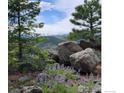Scenic view of mountains and foliage with lush wildflowers in the foreground at 409 Wild Horse Cir, Boulder, CO 80304