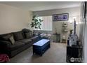 Cozy living room featuring comfortable seating, ample natural light, and stylish decor accents at 3623 S Sheridan Blvd # 11, Lakewood, CO 80235
