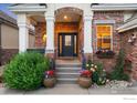 Inviting entryway showcasing brick facade, decorative flower pots, and covered porch at 2324 Steppe Dr, Longmont, CO 80504