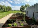 View of raised garden beds with lush plants and scenic greenery at 7800 Hygiene Rd, Longmont, CO 80503