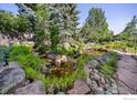 Beautiful backyard pond featuring rocks, lush greenery, and a peaceful setting at 1892 Bell Dr, Erie, CO 80516
