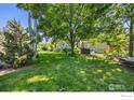 Spacious backyard with well-maintained lawn and mature trees, perfect for outdoor activities at 1892 Bell Dr, Erie, CO 80516