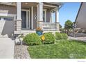 Charming front yard with healthy green bushes, neatly manicured lawn, a Vivint security sign, and a covered porch at 12889 Clearview St, Firestone, CO 80504