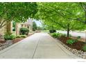 Long concrete driveway lined with trees and landscaping leads to a stately home with a stone exterior at 8911 Little Raven Trl, Niwot, CO 80503
