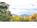 Scenic view featuring mountains, a colorful horizon, and a dense landscape at 8840 Niwot Rd, Niwot, CO 80503