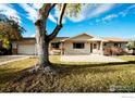 Inviting single-story home with a charming entrance and mature landscaping at 8895 Morton Rd, Niwot, CO 80503
