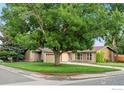 Charming single-story home with a well-manicured lawn, mature trees, and an attached garage at 11198 W 59Th Pl, Arvada, CO 80004