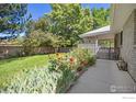 Spacious backyard with lush green grass, mature trees, a covered patio, and privacy fence at 1448 16Th Ave, Longmont, CO 80501