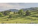 Scenic view of a sprawling green pasture with rolling hills, dotted with trees and grazing cattle in a tranquil setting at 8241 N Foothills Hwy, Boulder, CO 80302