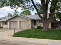 Delightful single-story home featuring a front yard with healthy green grass and neutral colors at 1906 Yeager Dr, Longmont, CO 80501