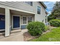 Townhome entrance featuring a blue door, well-kept landscaping, and natural light at 1419 Red Mountain Dr # 126, Longmont, CO 80504