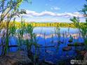 Scenic lake view with trees and rocks in foreground at 1993 S Fork Dr, Lafayette, CO 80026